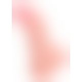Фаллоимитатор с мошонкой - Medical Silicone Dildo 20 cm