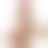 Фалоімітатор - Sliding-Skin Dual Layer Dong 7.5" Brown #3 Фалоімітатор - Sliding-Skin Dual Layer Dong 7.5" Brown #3