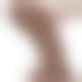 Фаллоимитатор - 10.5'' Realistic Chubby Dildo Brown Фаллоимитатор - 10.5'' Realistic Chubby Dildo Brown