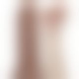 Фаллоимитатор - 10.5'' Realistic Chubby Dildo Brown Фаллоимитатор - 10.5'' Realistic Chubby Dildo Brown