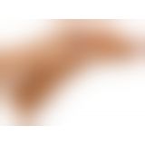 Фалоімітатор - European Lover Latin Фалоімітатор - European Lover Latin