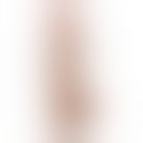 Фалоімітатор - Sliding-Skin Dual Layer Dong 9.5" Brown