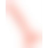 Фаллоимитатор с мошонкой - Medical Silicone Dildo 24 cm
