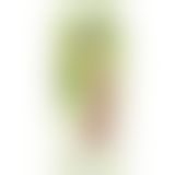 Фаллоимитатор Average Joe The Pilot, Nick 13 х 4 см. Фаллоимитатор Average Joe The Pilot, Nick 13 х 4 см.