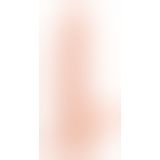 Фалоімітатор з мошонкою - NS Dildo with a Suction Cup