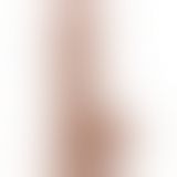 Фалоімітатор - Sliding-Skin Dual Layer Dong 7" Brown