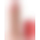 Фалоімітатор з мошонкою - King Cock 10in. Chubby