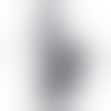 Фалоімітатор - Squirt Extreme Dildo 10" Black