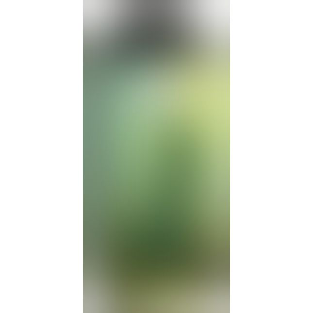 Beasty Cocks Lizard Peak Beasty Cocks Lizard Peak