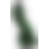 Beasty Cocks Lizard Peak Beasty Cocks Lizard Peak