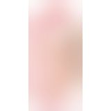 Фалоімітатор з мошонкою - NS Dildo with a Suction Cup