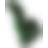 Beasty Cocks Lizard Peak Beasty Cocks Lizard Peak