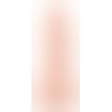 Фалоімітатор з мошонкою - NS Dildo with a Suction Cup