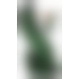 Beasty Cocks Lizard Peak Beasty Cocks Lizard Peak