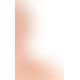 Фалоімітатор з мошонкою - NS Dildo with a Suction Cup