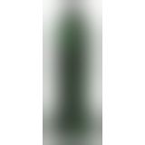 Beasty Cocks Lizard Peak Beasty Cocks Lizard Peak