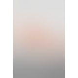 Фаллоимитатор Real Body - Real Tony Flash, TPE, диаметр 3,5см