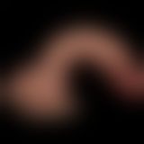 Фалоімітатор - Sliding Skin Pro Dual Layer Silicone Dong 7.5''