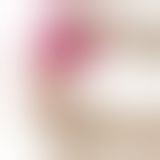 Двосторонній фалоімітатор - Holy Dong Double-Ended Dildo 12.5" Flesh+Pink