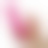 Двосторонній фалоімітатор - Holy Dong Double-Ended Dildo 12.5" Flesh+Pink