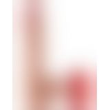 Фалоімітатор з мошонкою - King Cock Dual Density 12in.