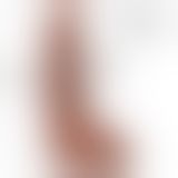 Фалоімітатор, що кінчає Doc Johnson The Realistic Cock ULTRASKYN - Squirting 9,5 Inch Caramel
