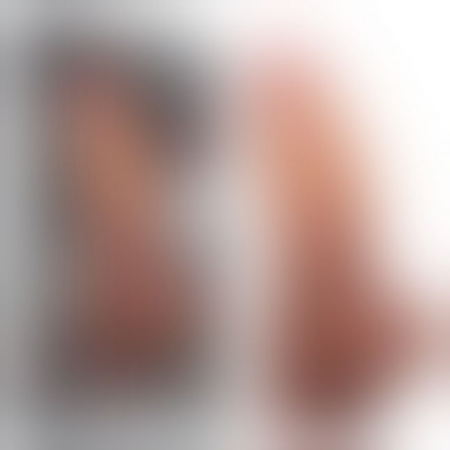 Фалоімітатор - Dual-Layered Silicone Cock 10" Brown