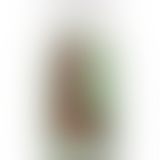 Фалоімітатор, що кінчає Doc Johnson The Realistic Cock ULTRASKYN - Squirting 9,5 Inch Caramel