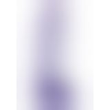 Фалоімітатор Dazzling Dong, 22Х6 см