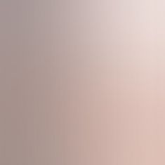 Фалоімітатор - Dual-Layered Silicone Cock 10" Flesh #2 Фалоімітатор - Dual-Layered Silicone Cock 10" Flesh #2