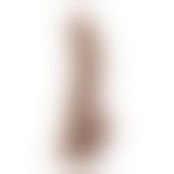 Фалоімітатор - Naked Legend Navigato 8.6" Brown