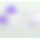 Bouncer Flashy Purple