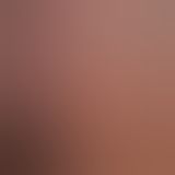 Фалоімітатор - Dual-Layered Silicone Cock 10" Flesh #2