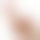 Двусторонний фаллоимитатор - Holy Dong Double-Ended Dildo Flesh 12.5"