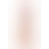 Фалоімітатор Toyfa RealStick Nude реалістичний 15,5 см
