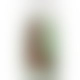 Фалоімітатор, що кінчає Doc Johnson The Realistic Cock ULTRASKYN - Squirting 9,5 Inch Caramel