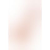 Фалоімітатор Toyfa RealStick Nude реалістичний 15,5 см
