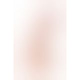 Фалоімітатор Toyfa RealStick Nude реалістичний 15,5 см