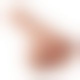 Фалоімітатор - Beautiful Encounter Bergrisi Dildo Flesh Фалоімітатор - Beautiful Encounter Bergrisi Dildo Flesh