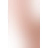 Фалоімітатор Toyfa RealStick Nude реалістичний 15,5 см