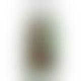 Фалоімітатор, що кінчає Doc Johnson The Realistic Cock ULTRASKYN - Squirting 9,5 Inch Caramel
