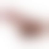 Фалоімітатор - Pretty Love Sliding Skin 8.1" Latin