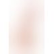 Фалоімітатор Toyfa RealStick Nude реалістичний 15,5 см