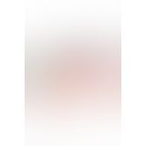 Фалоімітатор Real Body — Real Bruce Flesh, TPE, діаметр 4,2 см