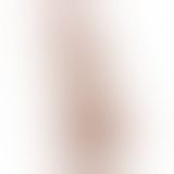 Фалоімітатор - Sliding-Skin Dual Layer Dong 7.5" Brown #1 Фалоімітатор - Sliding-Skin Dual Layer Dong 7.5" Brown #1