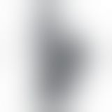 Фалоімітатор - Squirt Extreme Dildo 9" Black