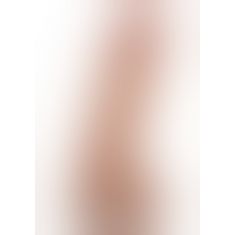 Фаллоимитатор Prince Charming, 20Х5,5 см