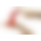 Фалоімітатор - Jolly Buttcock Фалоімітатор - Jolly Buttcock