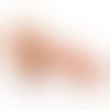 CalExotics Colt Icon Srspete Kuzaks Cock реалістичний фалоімітатор, 16х4, 8 см