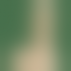 Фаллоимитатор с мошонкой Ballsy Super Cock 6, 13,2х3,5 см